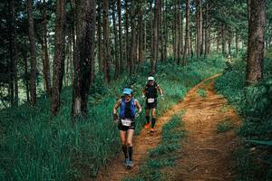 BIB: 
                            <button type="button" onclick="openModal(25747941)" class="btn btn-primary btn-sm float-right btn-popup" data-toggle="modal" data-target=".modal-high-quality">
                        <i class="fas fa-shopping-cart"></i> Add to Cart
                    </button>
                                            <button type="button" onclick="isThisMe(25747941, true)" class="btn btn-success btn-sm float-right btn-popup btn-isme hidden" data-toggle="tooltip" data-placement="bottom" title="นี่คือรูปของคุณใช่ไหม คลิกที่นี่เพื่อเอาเข้าอัลบั้ม">
                        <i class="fas fa-plus"></i> Add to album
                    </button>
                    <button type="button" onclick="isThisMe(25747941, false)" class="btn btn-warning btn-sm float-right btn-popup btn-isnotme hidden">
                        <i class="fas fa-ban"></i> Remove from album
                    </button>